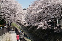 多摩センター駅付近