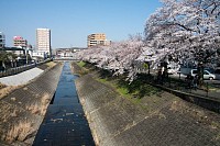 再び乞田川。今度は北へ。鎌倉街道・乞田新大橋