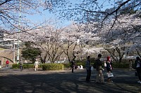 いろは坂公園