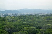 展望台から。今日は国師が岳は見えないが、三頭山は見える