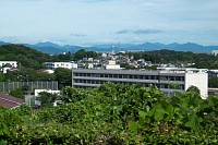 三頭山から大岳山までの奥多摩三山