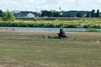 鳩に餌付けしている人