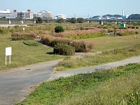 聖蹟桜ヶ丘の京王の裏あたり