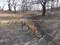 本日のお供は買い物かごつきＤＡＨＯＮ