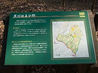 はるひ野は最近の地名