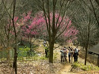 その下にはバズーカを構える鳥見の人たち