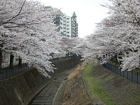 駅前から逆に見た