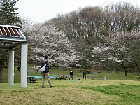 都立桜ヶ丘公園