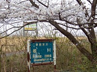 東端。根川が多摩川に合流する