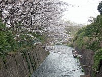 下流を見る。このあたりは処理場の異臭が少しする