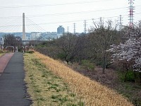 登るとサイクリングロード＆散歩道。ここが終点