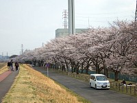 煙突から振り返る