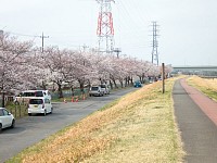 同じ地点から上流を見る。右奥が石田橋