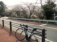 さくら坂公園の左