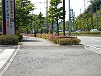 反対側の歩道が整備されていないので、逆行してＴＴを繰りかえす人もいる