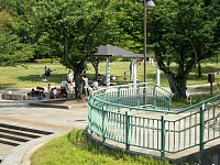 天気がいいので大丸公園も賑わっている