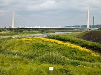 浅川ＣＲっぽい風景。府中四谷橋