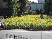 公園の滑り台の上から