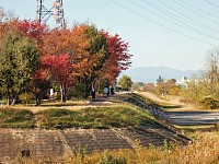 浅川分岐の紅葉