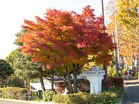 陵南公園入口