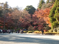 今日は参拝者多数