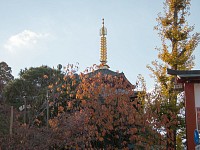 今日は竿燈祭で混雑。外から見ただけ