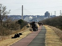 バズーカ持った人たちが野鳥観察