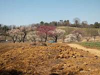 これより先、滑りやすいので立ち入り禁止だって