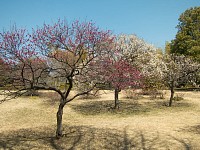 意外と人がいない