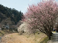 遊歩道入口