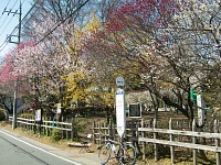 小仏関跡