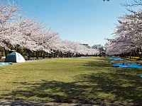 宝野公園の反対側から