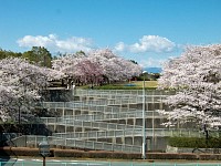 奈良原公園を見る