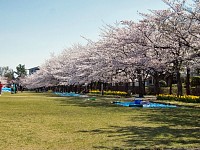 奈良原公園