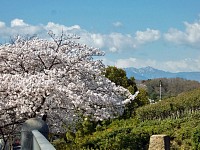 右奥は蛭ヶ岳