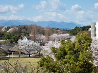 富士山は雲の中