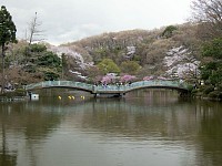 雨が落ちてきた