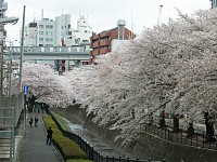 乞田川、多摩センター駅付近