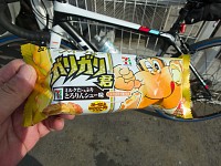 本日の補給食はセブンイレブン特製ガリガリ君ミルクたっぷりとろりんシュー味