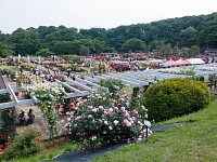 生田緑地ばら苑到着。広い