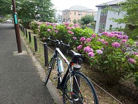 日差しは強かったが風が気持ちよかった