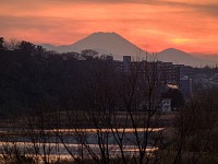 本日のショーはこれにて終了。お帰りはあちら