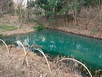 トンボ池の色がいつも不思議