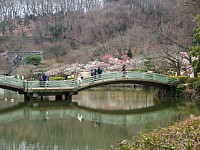 薬師池湖畔から梅園を見る