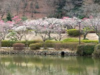 太鼓橋から