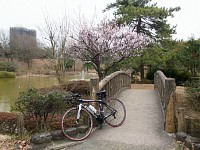 豊ヶ丘南公園