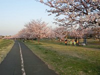 多摩サイとは逆岸なので自転車がほとんどいない。