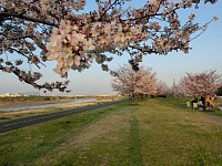 稲城大橋方面