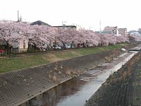 乞田川南田橋付近