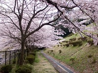 すぐ上はこんなかんじ